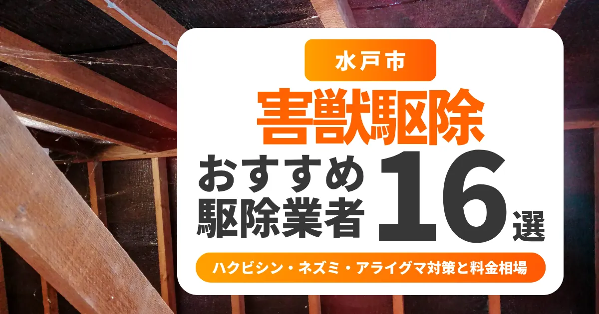水戸市の害獣駆除業者おすすめ16選|ハクビシン・ネズミ・アライグマ対策と料金相場